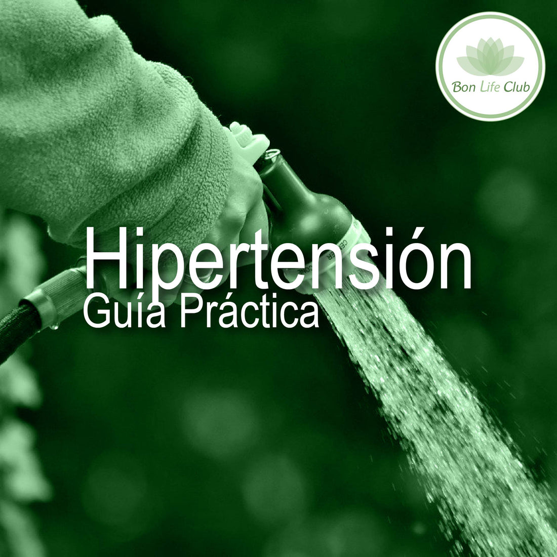 Hipertensión: Guía práctica