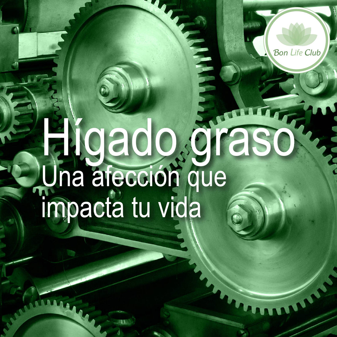 El Hígado Graso: Una afección que impacta tu vida.