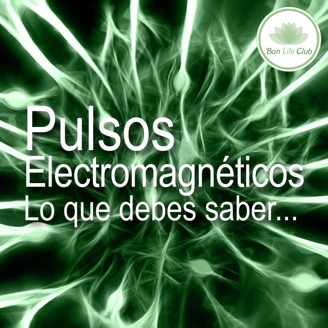 Pulsos electromagnéticos PEMF