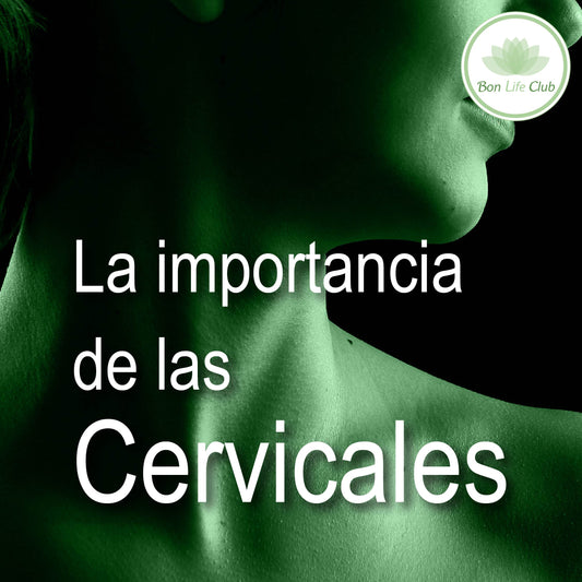 La importancia de las cervicales