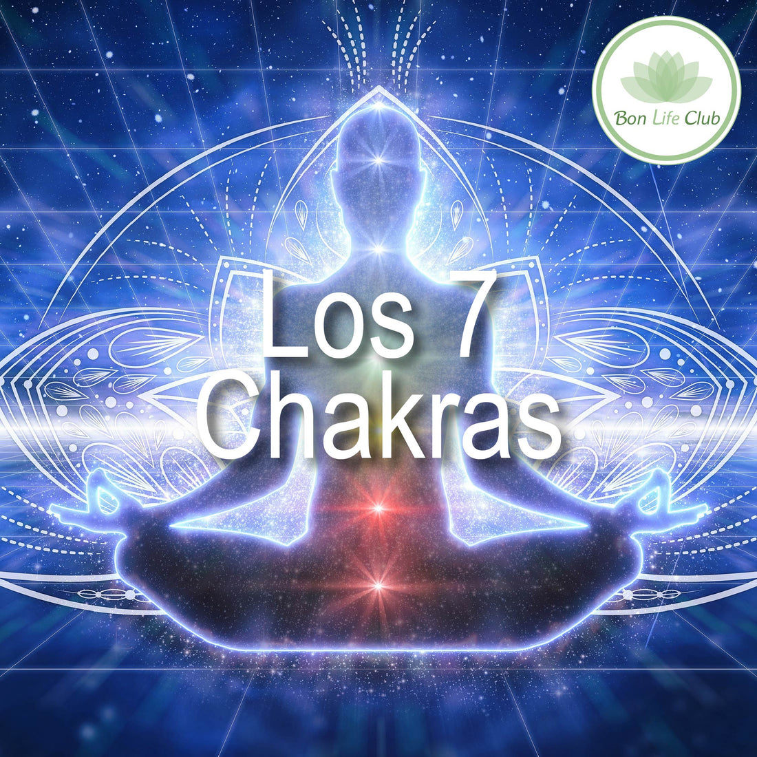 Los 7 Chakras: Conoce su Significado y Cómo Equilibrar tu Energía