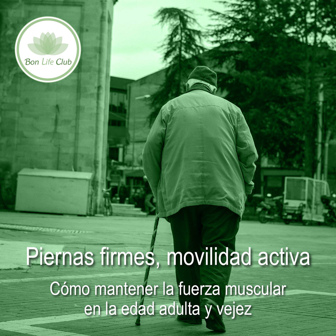 Piernas firmes, movilidad activa: Cómo mantener la fuerza muscular en la edad adulta y vejez