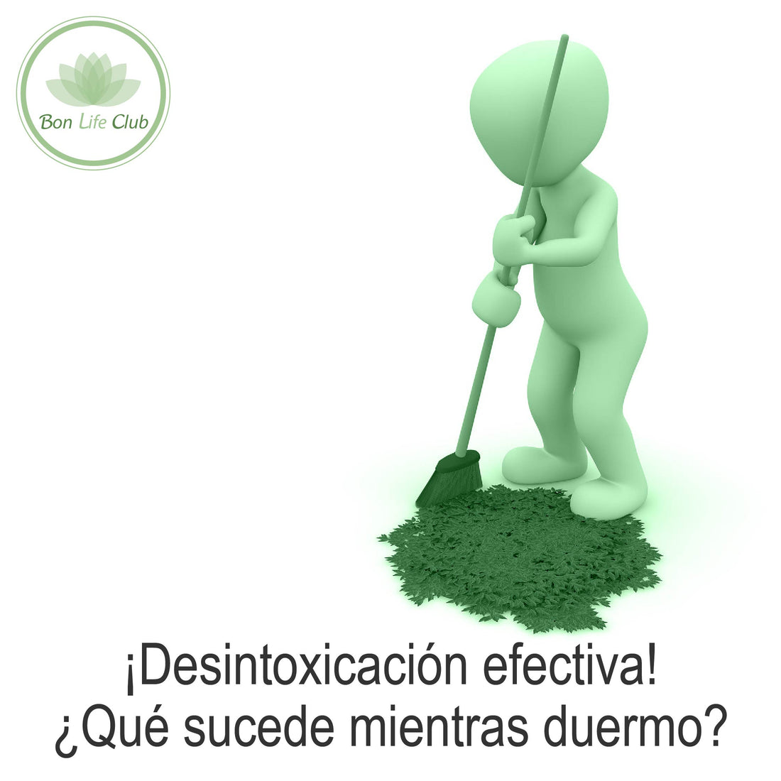 Desintoxicación efectiva, ¿Qué sucede mientras duermo?