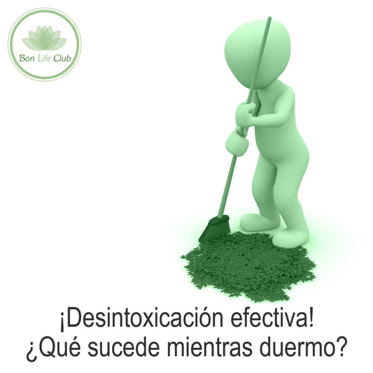 Desintoxicación efectiva, ¿Qué sucede mientras duermo?