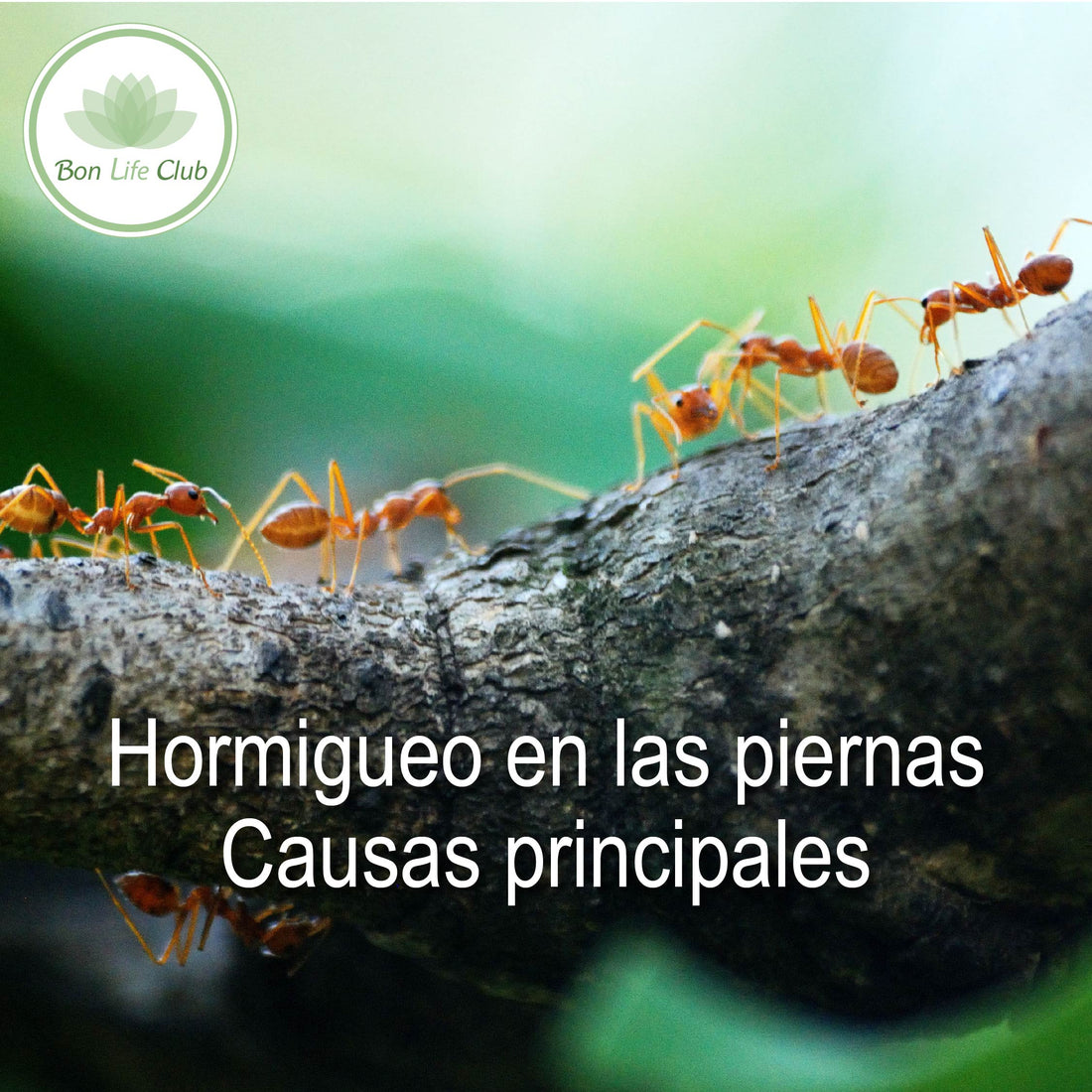 Hormigueo en las Piernas: Causas Principales